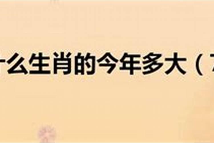 十二属相的年龄表1990年份