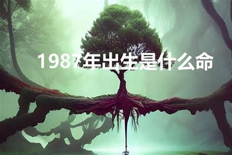 90年生人属什么的