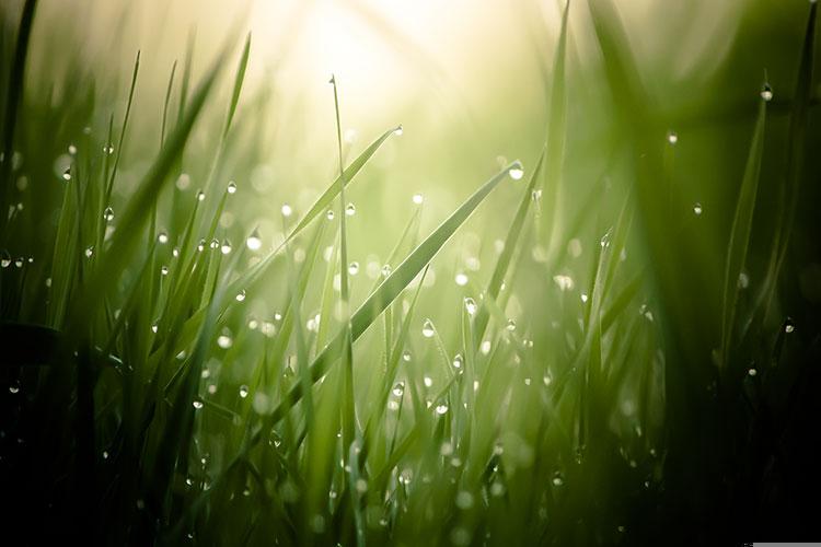 梦见下了很大的雨是什么意思周公解梦