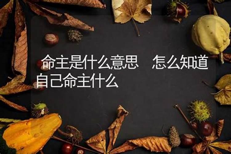 梦到结婚吵架不开心怎么回事