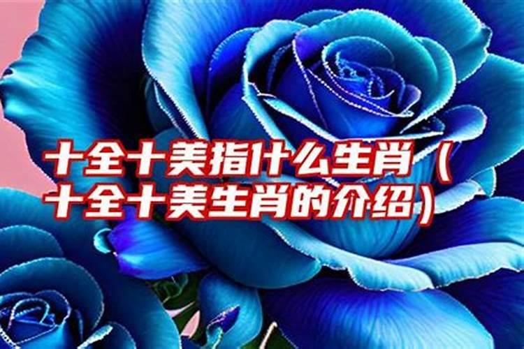 仙女指什么生肖