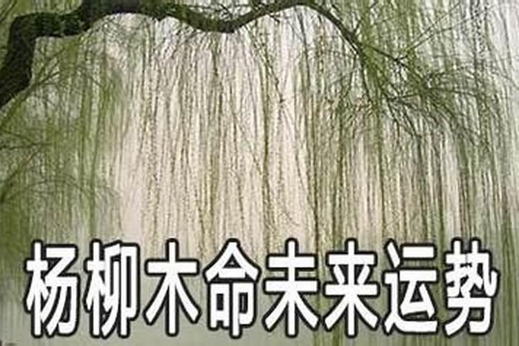 梦见结婚却没见新郎