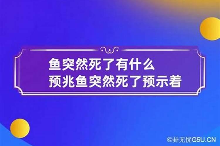 为什么摩羯座这么