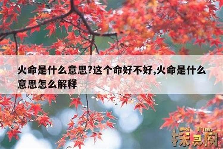 有什么办法增加桃花运