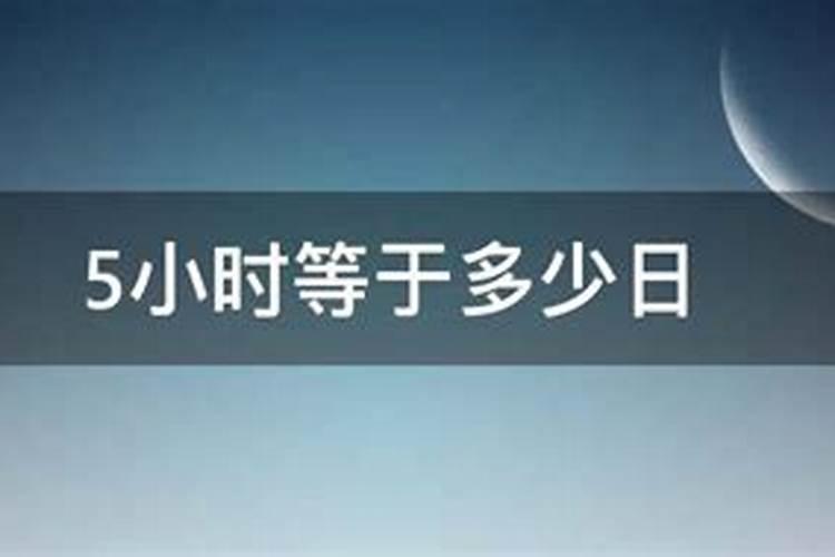 梦见放生小老鼠预示什么