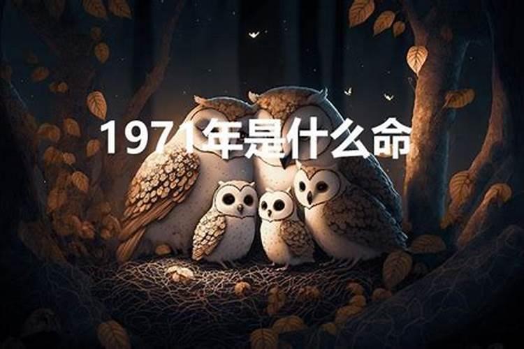 1993属鸡的婚姻与命运2023年