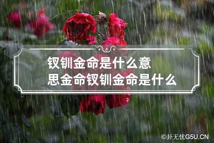 做梦梦到把蛇砍死是什么意思呀