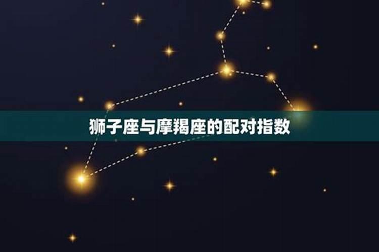 十二星座对应的动物是什么