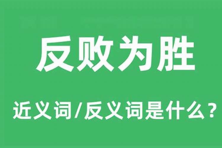 84年属鼠的人和什么属相合作做好