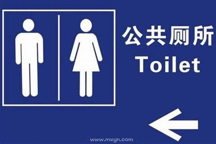 女人梦见白蛇什么预兆