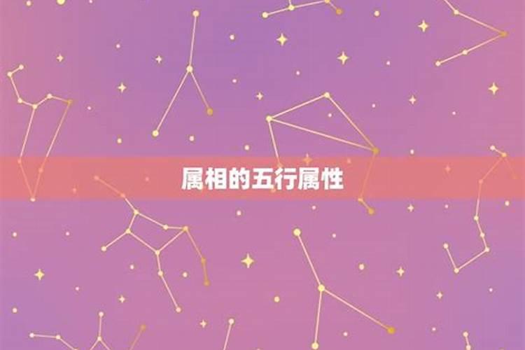 冬月初三是什么星座