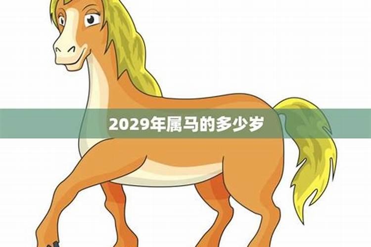 乙木2023年癸卯年运势