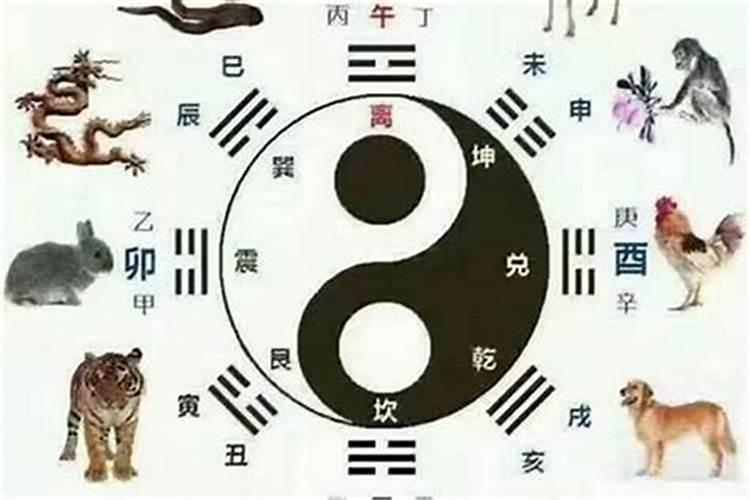 指小人的生肖