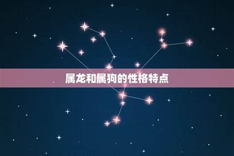 红花代表什么生肖吃