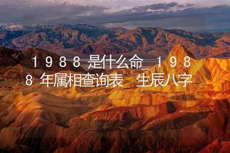 2001年属什么生肖的命