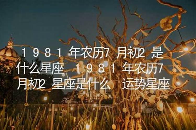 11月11日是什么星座的人呢女生