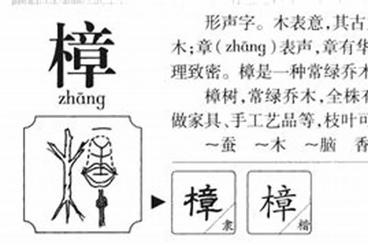 做梦梦到买虾预示什么