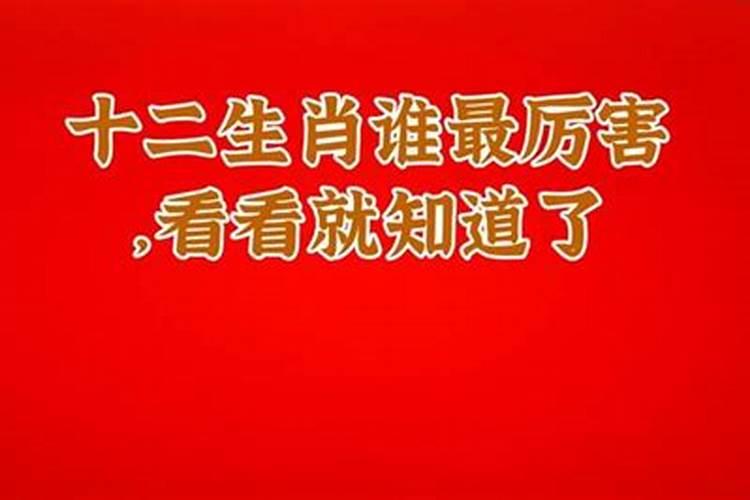 从格八字是什么意思