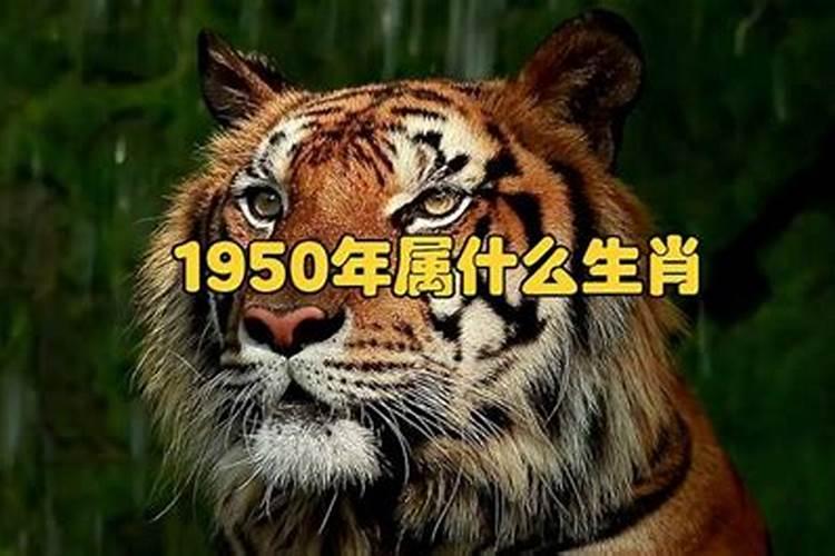 1973年农历十一月初二是什么星座