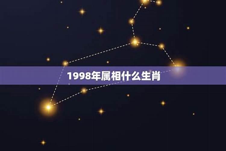 1970属什么生肖,什么命