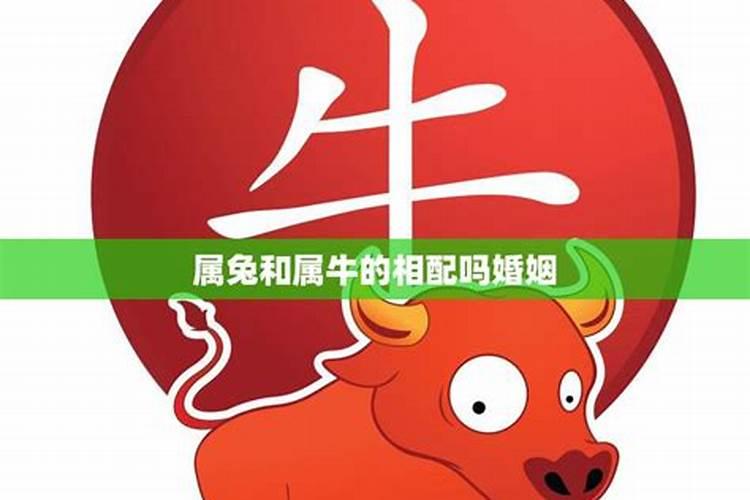 梦见卖油预示着什么