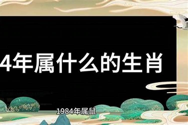 属蛇人今年的运气2023