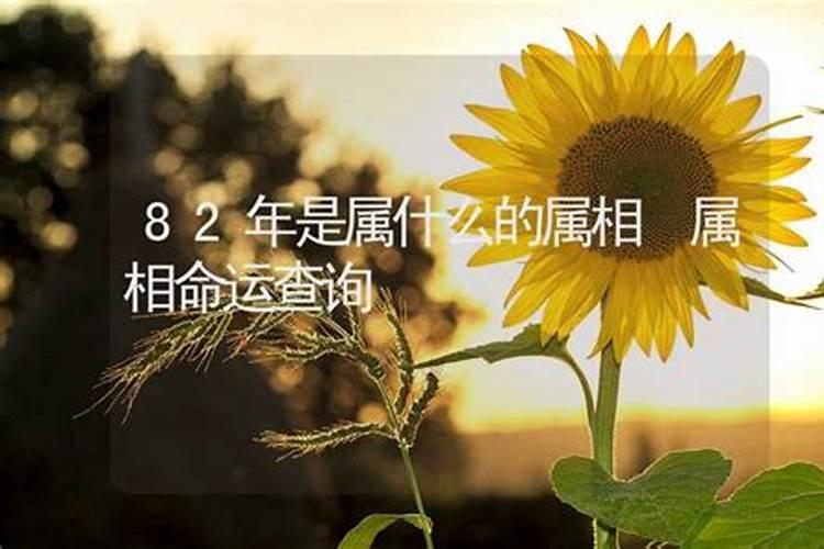 三月2号是什么星座上升星座是什么