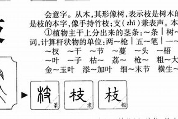 木字五行属什么