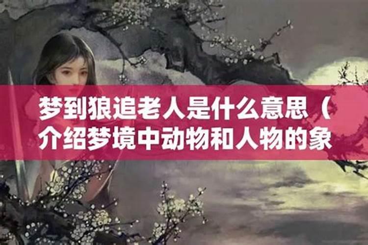 属龙的和属虎的属相合吗