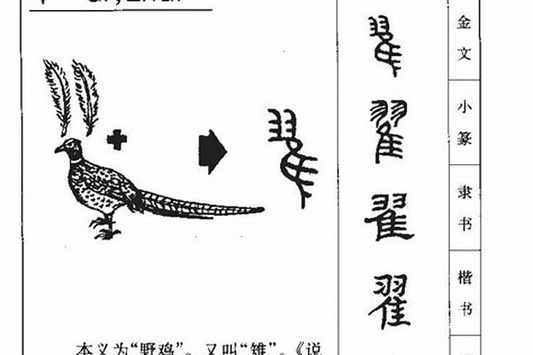 9月15什么星座性格