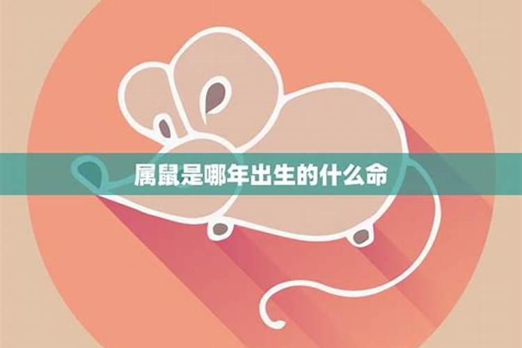 梦到到鱼是什么意思啊周公解梦