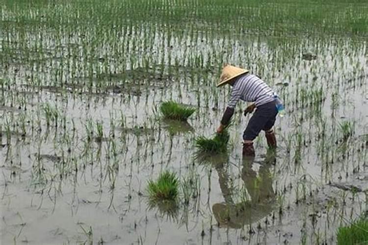 梦见和别人在跳舞是什么意思呀