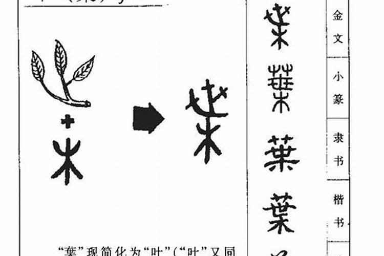 梦见好事又梦见坏事怎么回事