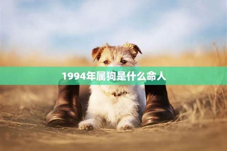 1994年属狗的是什么星座