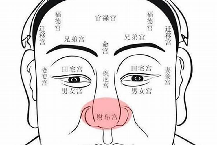 男左女右是什么生肖