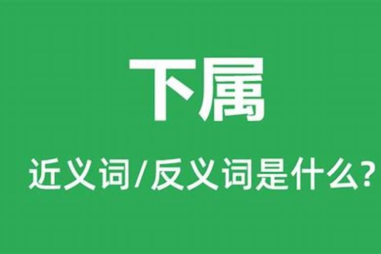 八字里面的十神是如何排列的