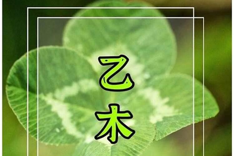 曾字五行属什么属性