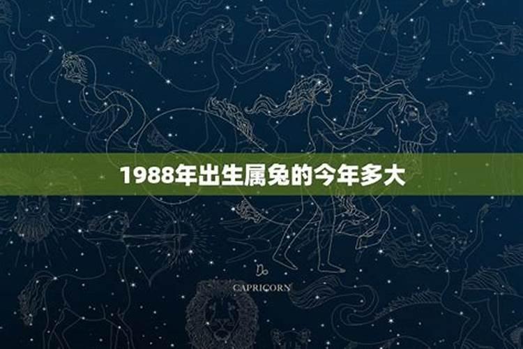 1990年农历11月10日是什么星座