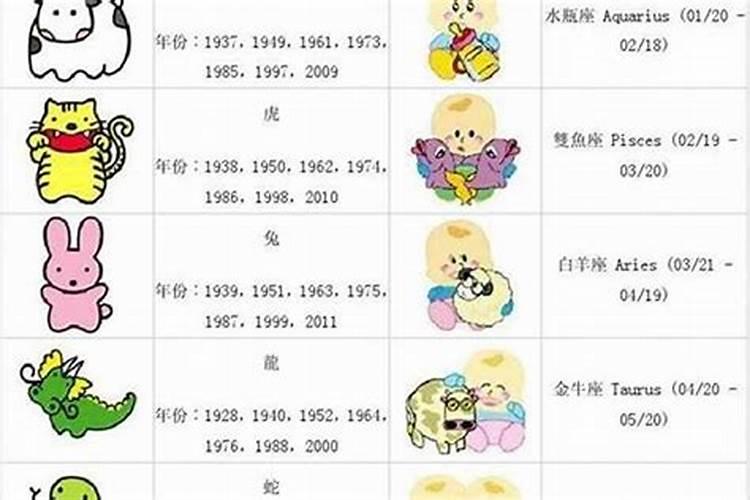 属龙的40年的今年多大