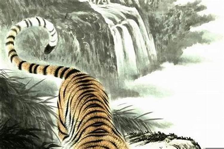 三月出生的虎是什么性格