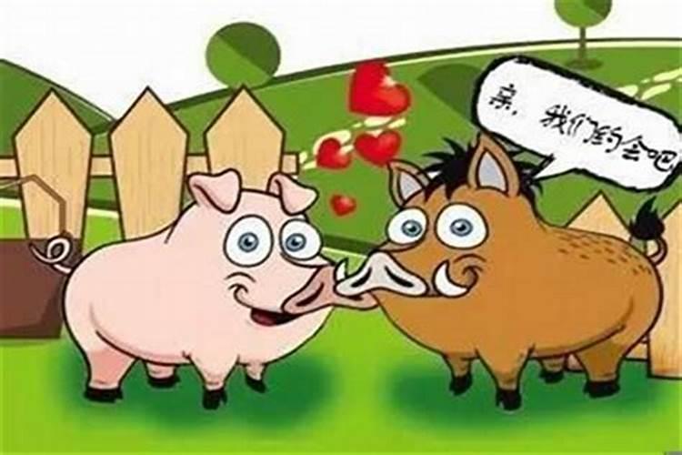 属猪和属牛的婚姻如何