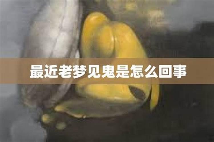 梦见鸡死完了是什么意思周公解梦