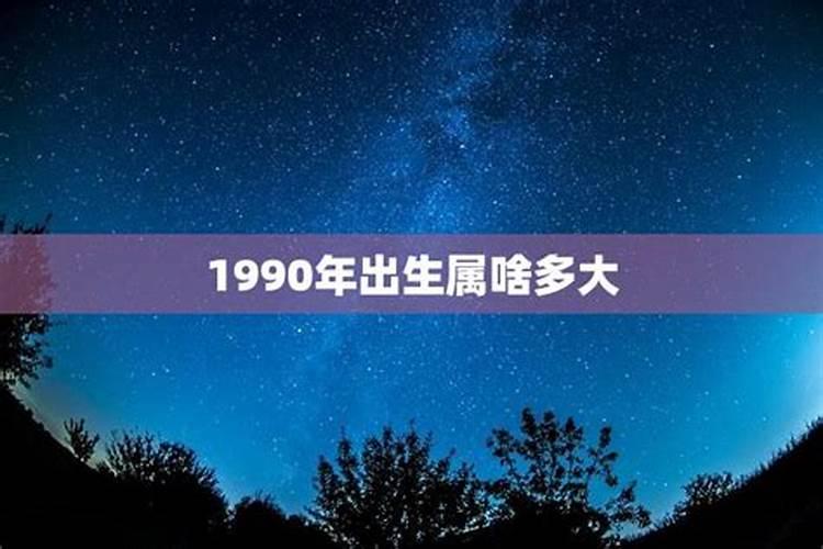 属蛇31岁今年什么时候可以结婚呢