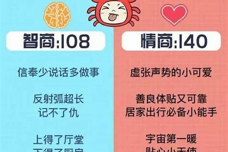 瓜子脸代表什么生肖呢