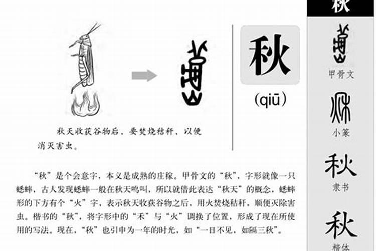 梦见钟表是什么意思周公解梦