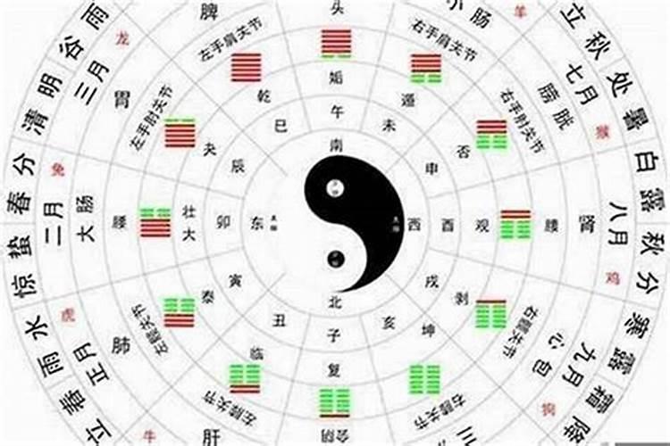 托字五行属性