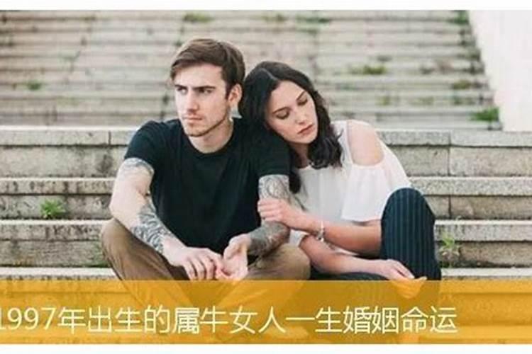 属牛的婚姻与命运