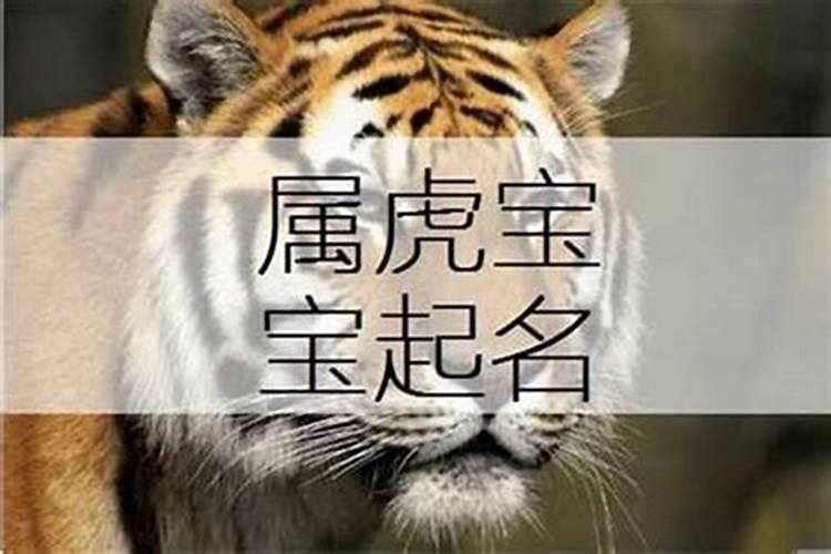 属虎的名字带什么字好