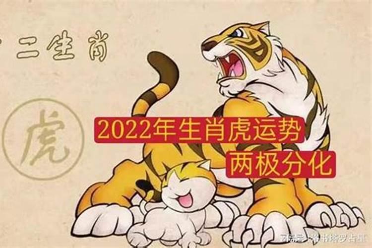2022年属虎什么命