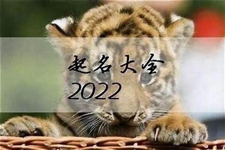 2022年虎年五行属什么虎